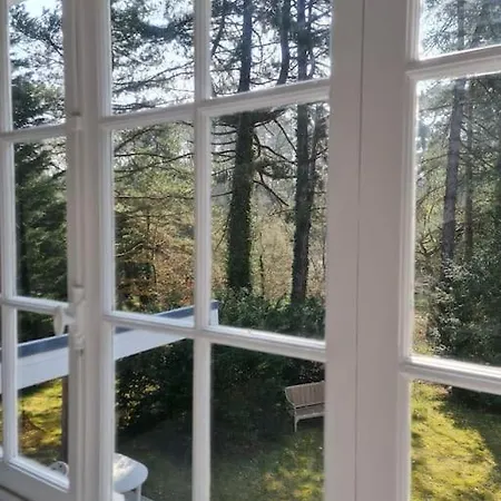 Magnifique Dans La Foret 8 Pers Wifi