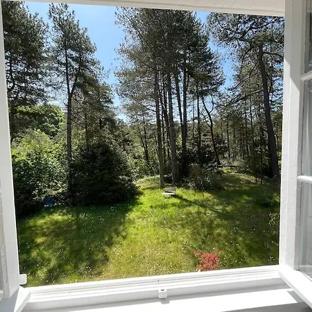 Magnifique Dans La Foret 8 Pers Wifi * Neufchâtel-Hardelot